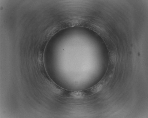 X0000073870181200608171017