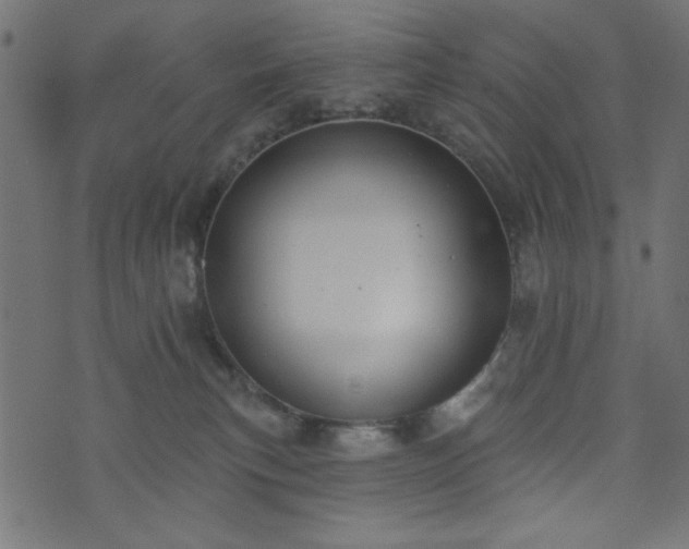 X0000073870183200608171017