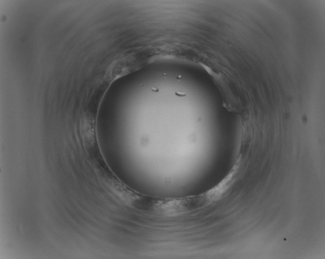 X0000073870186200608171017