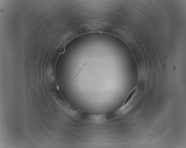 X0000073870187200608171017