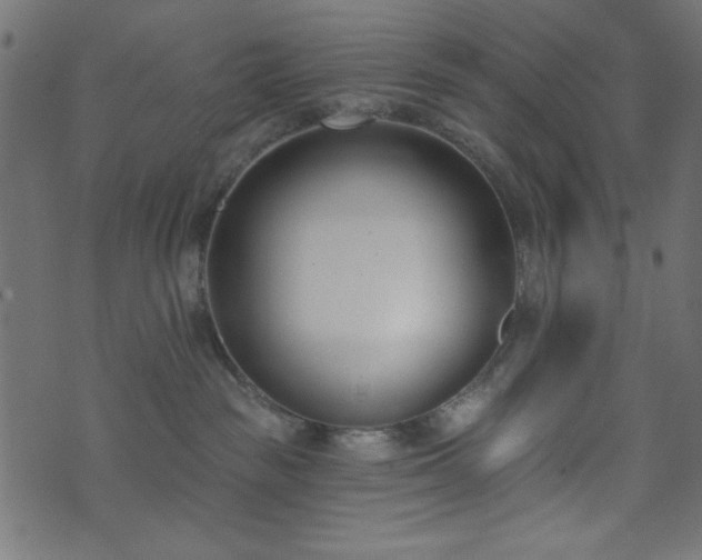 X0000073870189200608171017