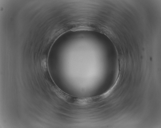 X0000073870190200608171017