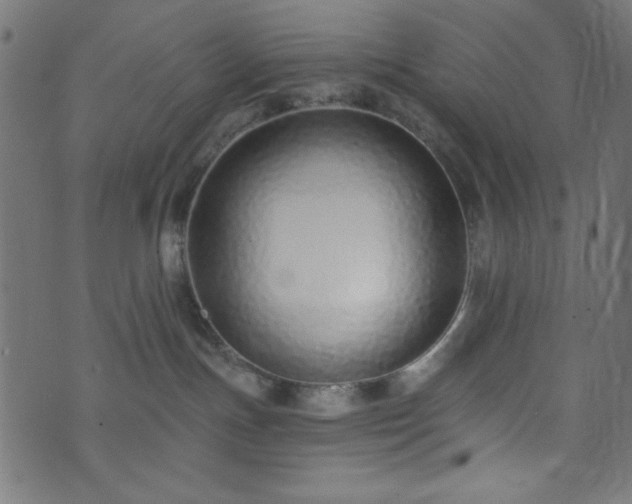 X0000073870191200608171017