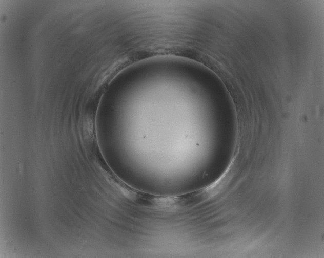 X0000073870192200608171017