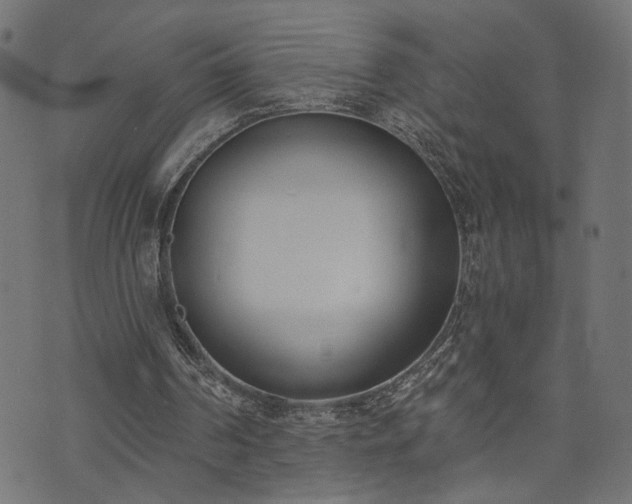 X0000073870194200608171016