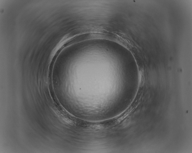 X0000073870195200608171016