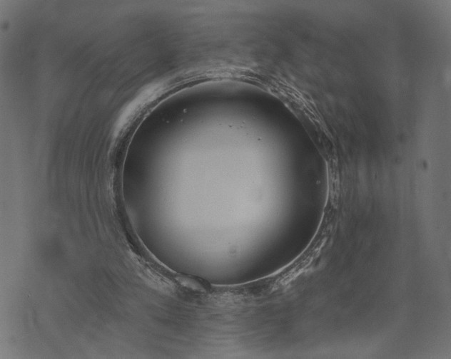 X0000073870197200608171016