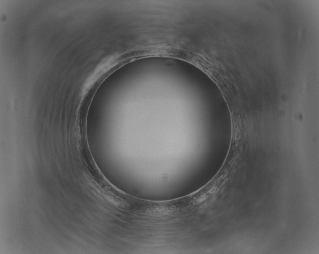 X0000073870198200608171016