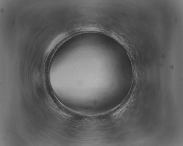 X0000073870199200608171016