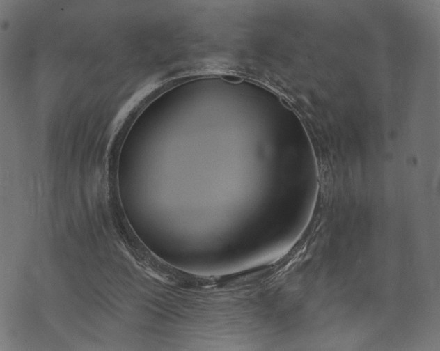 X0000073870200200608171016