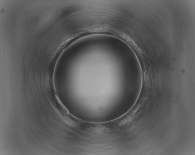 X0000073870201200608171016