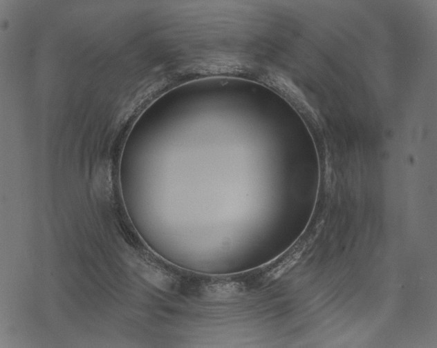 X0000073870202200608171016