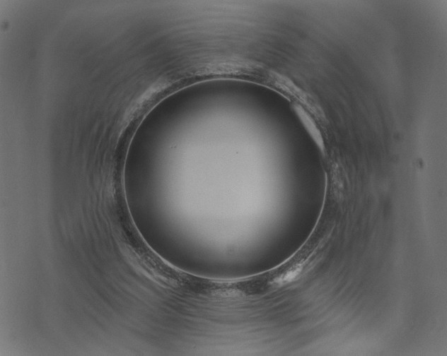 X0000073870203200608171016