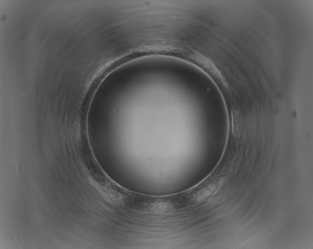 X0000073870204200608171016