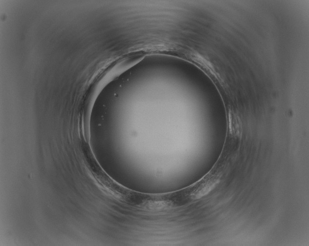 X0000073870205200608171016