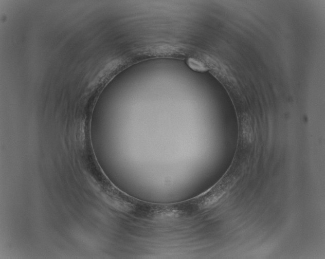 X0000073870206200608171016