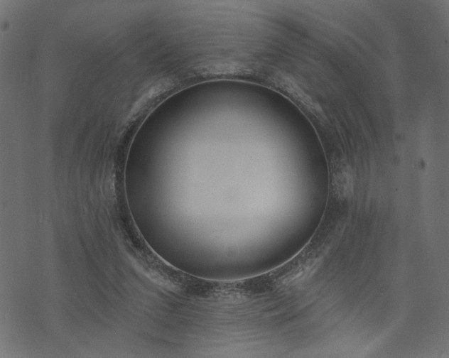 X0000073870207200608171016