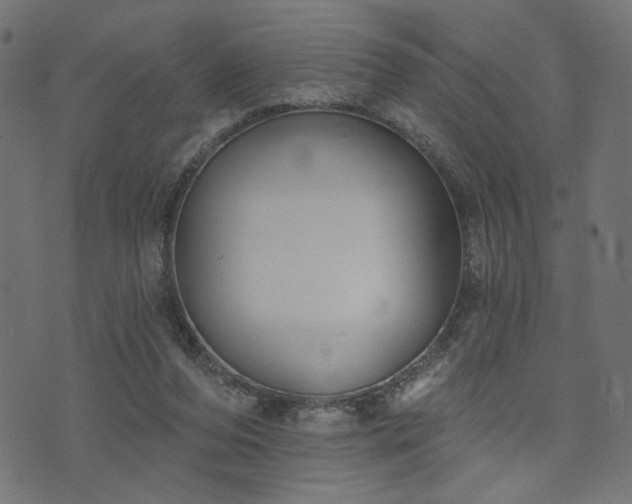 X0000073870208200608171016