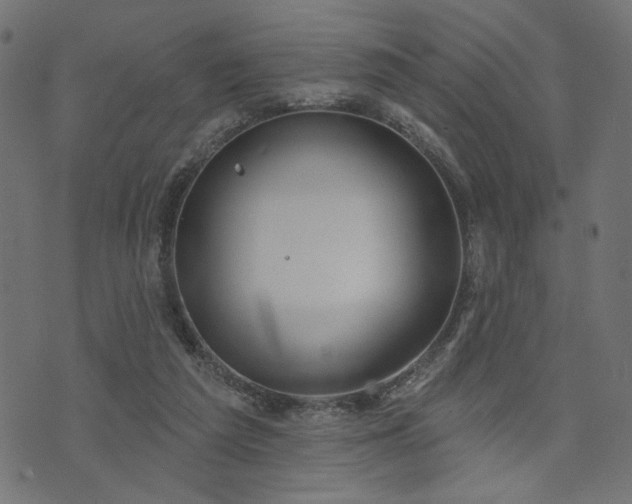 X0000073870209200608171016