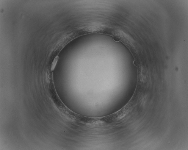 X0000073870210200608171016