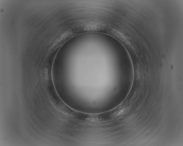 X0000073870211200608171016