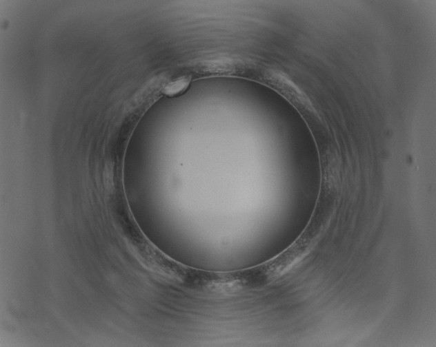 X0000073870213200608171016