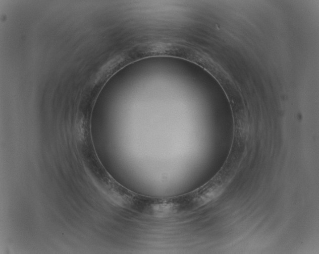 X0000073870216200608171016