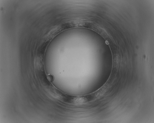 X0000073870218200608171016