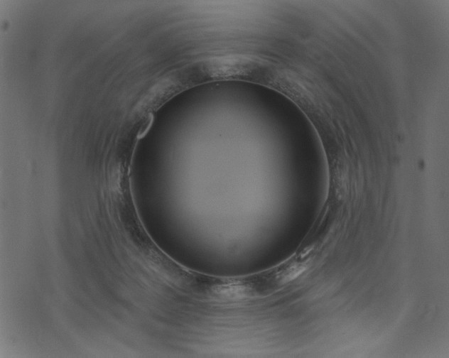 X0000073870219200608171016