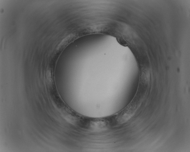 X0000073870220200608171015