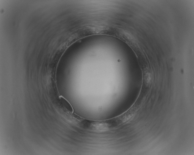 X0000073870221200608171015