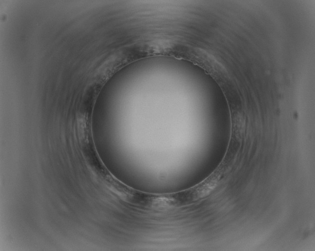 X0000073870222200608171015