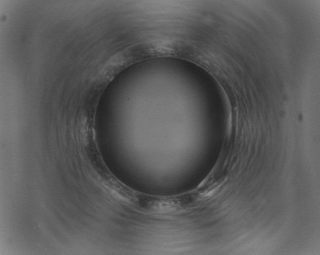 X0000073870223200608171015