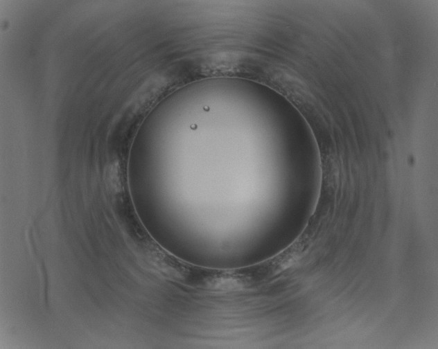 X0000073870224200608171015