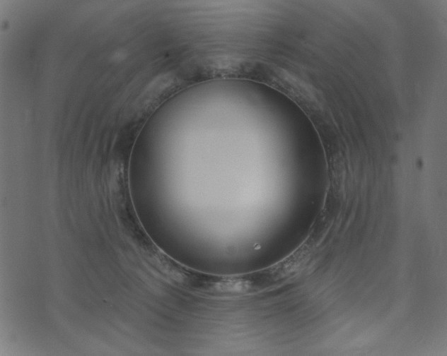 X0000073870225200608171015