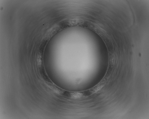 X0000073870226200608171015