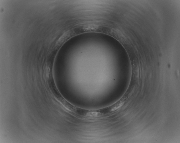 X0000073870227200608171015