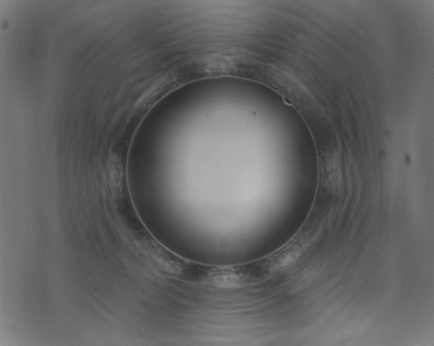 X0000073870228200608171015