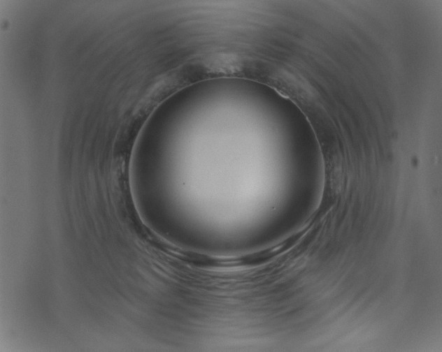 X0000073870229200608171015