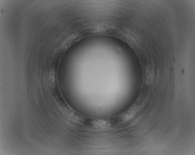 X0000073870230200608171015