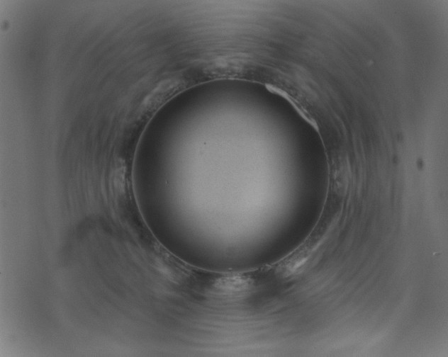 X0000073870231200608171015