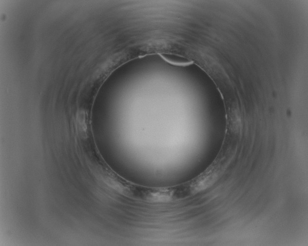 X0000073870232200608171015