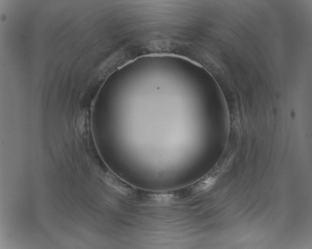 X0000073870233200608171015