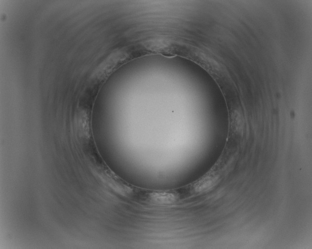 X0000073870234200608171015