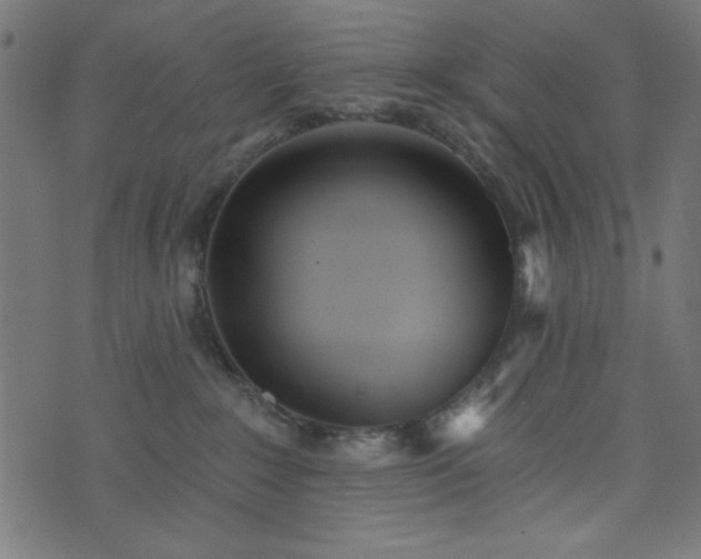 X0000073870235200608171015