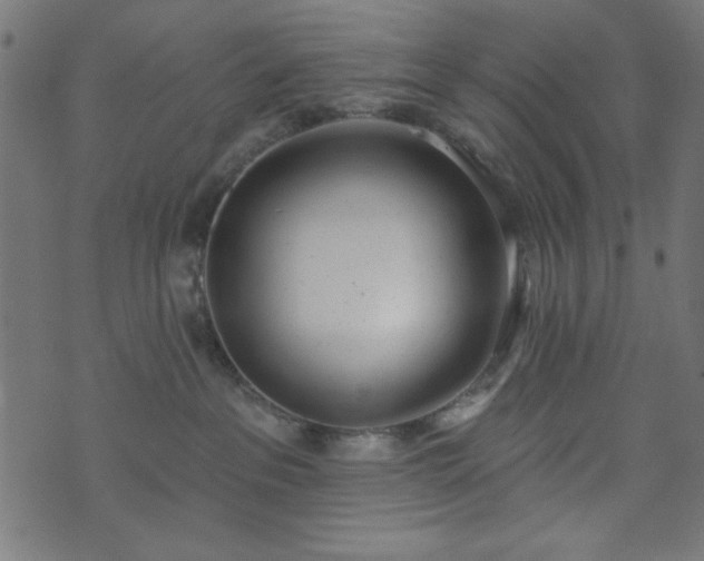 X0000073870237200608171015