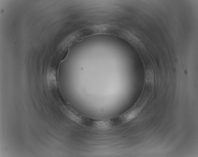 X0000073870238200608171015