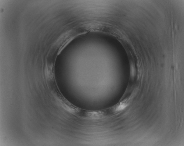 X0000073870239200608171015