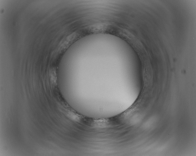 X0000073870240200608171015