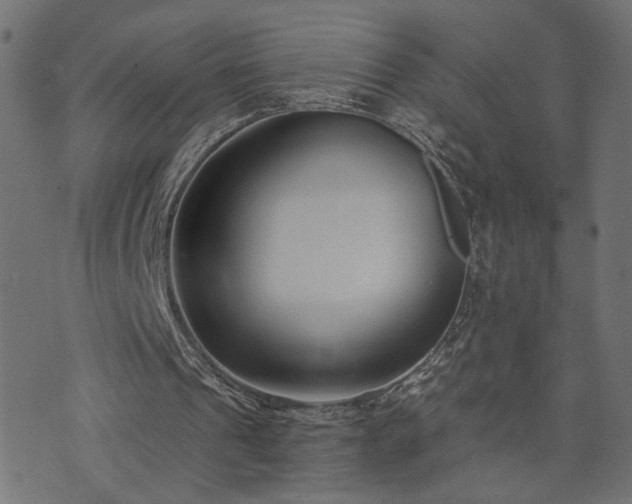 X0000073870241200608171014